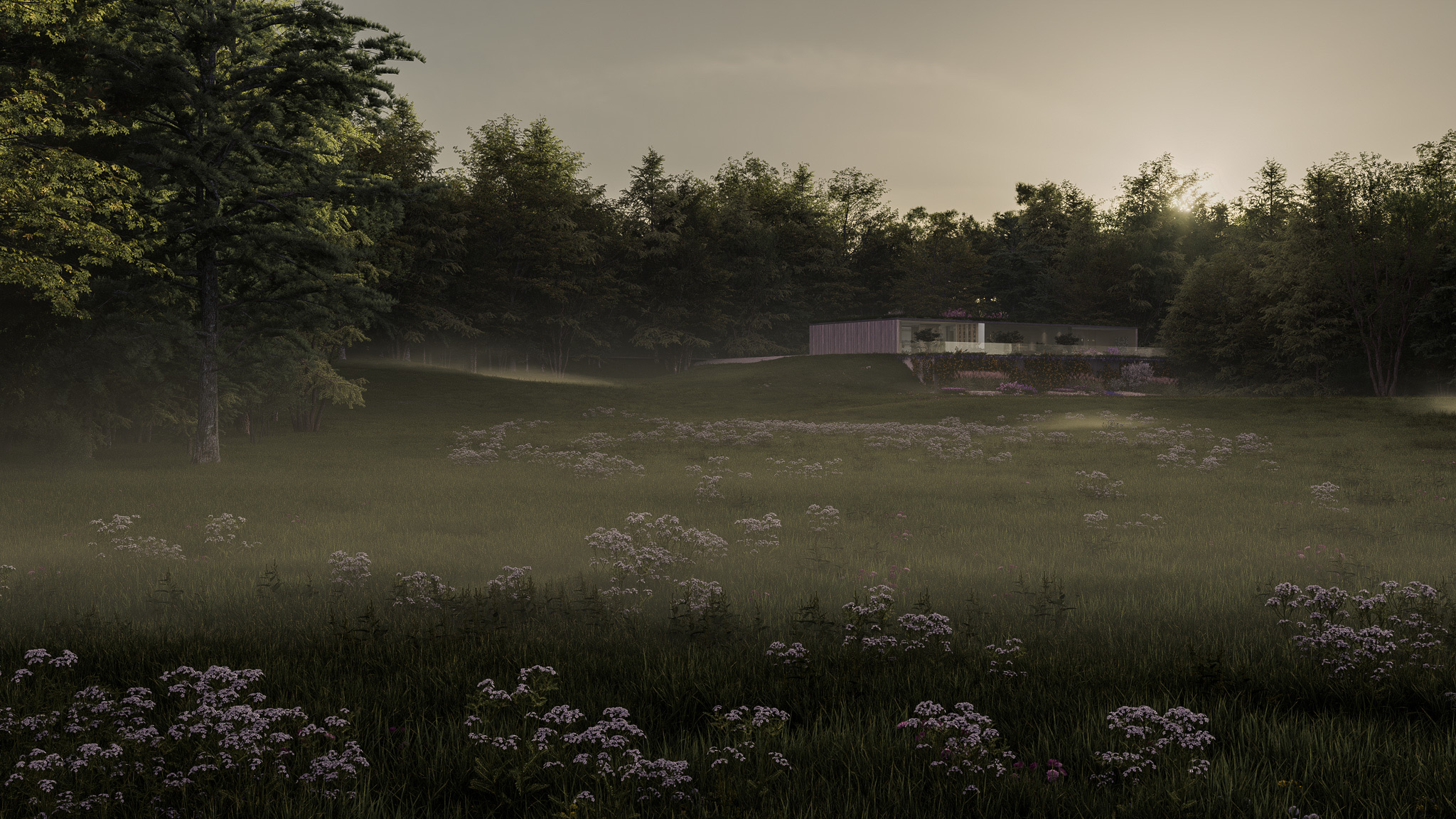 landscape render of The Clearing, a secluded house wrapped in a meadow garden